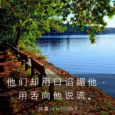 Picture 03 - 诗 篇 78:36 CUVS - 他 们 却 用 口 谄 媚 他 ， 用 舌 向 - Bible Verse Picture