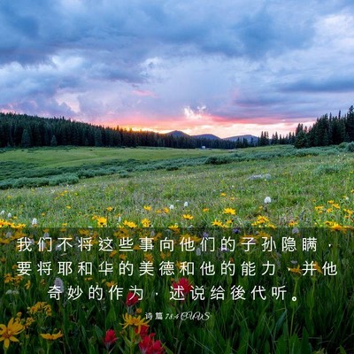 Picture 03 - 诗 篇 78:4 CUVS - 我 们 不 将 这 些 事 向 他 们 的 子 - Bible Verse Picture