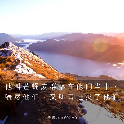 Picture 03 - 诗 篇 78:45 CUVS - 他 叫 苍 蝇 成 群 落 在 他 们 当 中 - Bible Verse Picture