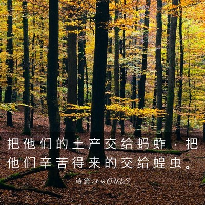 Picture 03 - 诗 篇 78:46 CUVS - 把 他 们 的 土 产 交 给 蚂 蚱 ， 把 - Bible Verse Picture