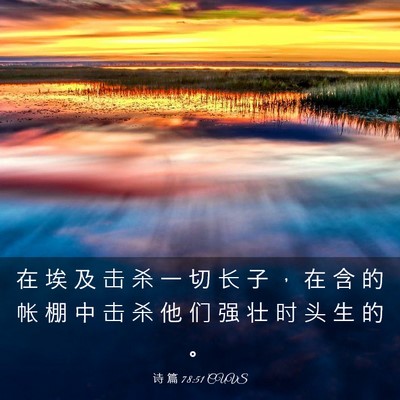 Picture 03 - 诗 篇 78:51 CUVS - 在 埃 及 击 杀 一 切 长 子 ， 在 含 - Bible Verse Picture