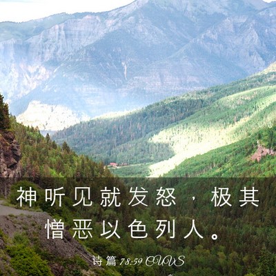 Picture 03 - 诗 篇 78:59 CUVS - 神 听 见 就 发 怒 ， 极 其 憎 恶 以 - Bible Verse Picture