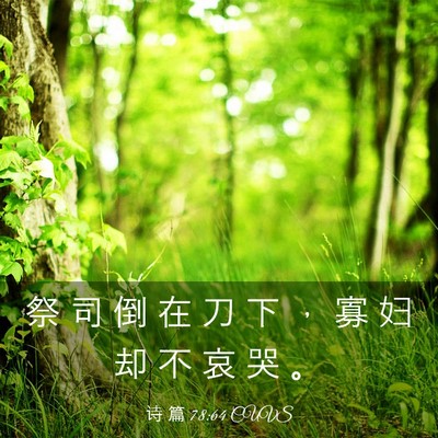 Picture 03 - 诗 篇 78:64 CUVS - 祭 司 倒 在 刀 下 ， 寡 妇 却 不 哀 - Bible Verse Picture