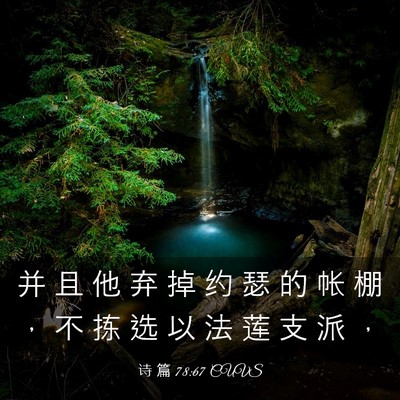 Picture 03 - 诗 篇 78:67 CUVS - 并 且 他 弃 掉 约 瑟 的 帐 棚 ， 不 - Bible Verse Picture
