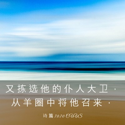 Picture 03 - 诗 篇 78:70 CUVS - 又 拣 选 他 的 仆 人 大 卫 ， 从 羊 - Bible Verse Picture