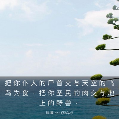 Picture 03 - 诗 篇 79:2 CUVS - 把 你 仆 人 的 尸 首 交 与 天 空 的 - Bible Verse Picture