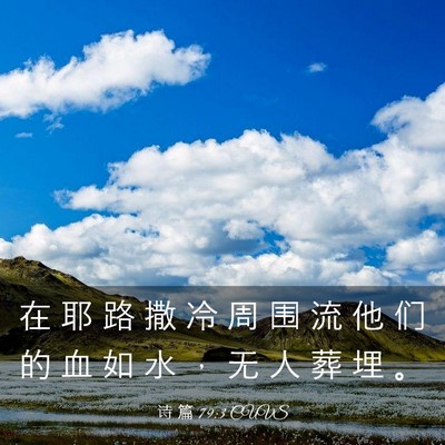 Picture 03 - 诗 篇 79:3 CUVS - 在 耶 路 撒 冷 周 围 流 他 们 的 血 - Bible Verse Picture