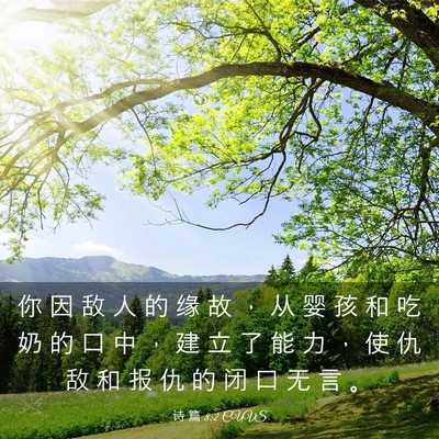 Picture 03 - 诗 篇 8:2 CUVS - 你 因 敌 人 的 缘 故 ， 从 婴 孩 和 - Bible Verse Picture