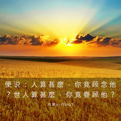 Picture 03 - 诗 篇 8:4 CUVS - 便 说 ： 人 算 甚 麽 ， 你 竟 顾 念 - Bible Verse Picture