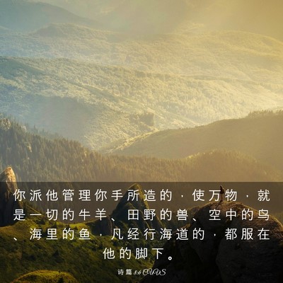 Picture 03 - 诗 篇 8:6 CUVS - 你 派 他 管 理 你 手 所 造 的 ， 使 - Bible Verse Picture