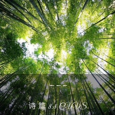 Picture 03 - 诗 篇 8:8 CUVS -  - Bible Verse Picture