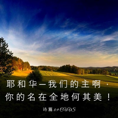 Picture 03 - 诗 篇 8:9 CUVS - 耶 和 华 ─ 我 们 的 主 啊 ， 你 的 - Bible Verse Picture