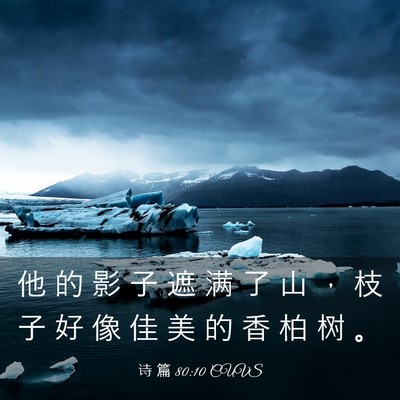 Picture 03 - 诗 篇 80:10 CUVS - 他 的 影 子 遮 满 了 山 ， 枝 子 好 - Bible Verse Picture