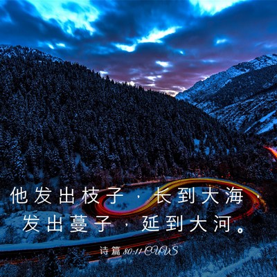 Picture 03 - 诗 篇 80:11 CUVS - 他 发 出 枝 子 ， 长 到 大 海 ， 发 - Bible Verse Picture