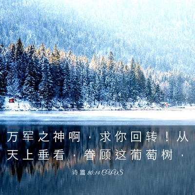 Picture 03 - 诗 篇 80:14 CUVS - 万 军 之 神 啊 ， 求 你 回 转 ！ 从 - Bible Verse Picture