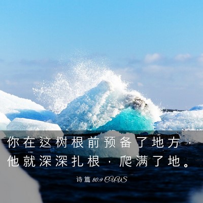 Picture 03 - 诗 篇 80:9 CUVS - 你 在 这 树 根 前 预 备 了 地 方 ， - Bible Verse Picture