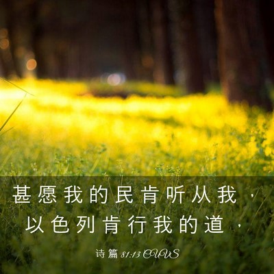 Picture 03 - 诗 篇 81:13 CUVS - 甚 愿 我 的 民 肯 听 从 我 ， 以 色 - Bible Verse Picture
