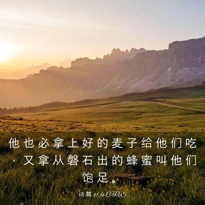 Picture 03 - 诗 篇 81:16 CUVS - 他 也 必 拿 上 好 的 麦 子 给 他 们 - Bible Verse Picture