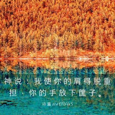 Picture 03 - 诗 篇 81:6 CUVS - 神 说 ： 我 使 你 的 肩 得 脱 重 担 - Bible Verse Picture