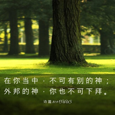 Picture 03 - 诗 篇 81:9 CUVS - 在 你 当 中 ， 不 可 有 别 的 神 ； - Bible Verse Picture