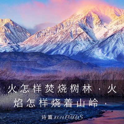 Picture 03 - 诗 篇 83:14 CUVS - 火 怎 样 焚 烧 树 林 ， 火 焰 怎 样 - Bible Verse Picture