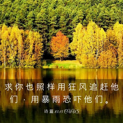Picture 03 - 诗 篇 83:15 CUVS - 求 你 也 照 样 用 狂 风 追 赶 他 们 - Bible Verse Picture