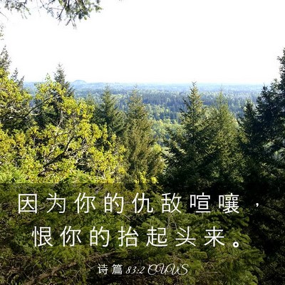 Picture 03 - 诗 篇 83:2 CUVS - 因 为 你 的 仇 敌 喧 嚷 ， 恨 你 的 - Bible Verse Picture