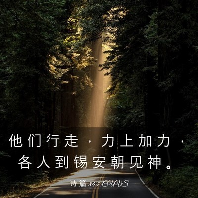 Picture 03 - 诗 篇 84:7 CUVS - 他 们 行 走 ， 力 上 加 力 ， 各 人 - Bible Verse Picture