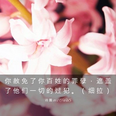 Picture 03 - 诗 篇 85:2 CUVS - 你 赦 免 了 你 百 姓 的 罪 孽 ， 遮 - Bible Verse Picture