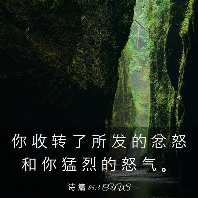 Picture 03 - 诗 篇 85:3 CUVS - 你 收 转 了 所 发 的 忿 怒 和 你 猛 - Bible Verse Picture