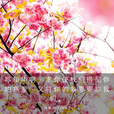 Picture 03 - 诗 篇 85:7 CUVS - 耶 和 华 啊 ， 求 你 使 我 们 得 见 - Bible Verse Picture