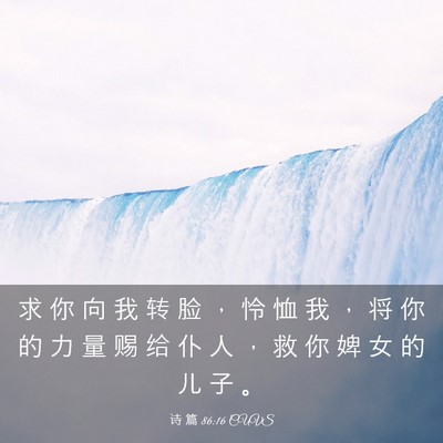 Picture 03 - 诗 篇 86:16 CUVS - 求 你 向 我 转 脸 ， 怜 恤 我 ， 将 - Bible Verse Picture