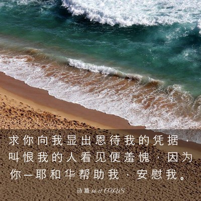 Picture 03 - 诗 篇 86:17 CUVS - 求 你 向 我 显 出 恩 待 我 的 凭 据 - Bible Verse Picture