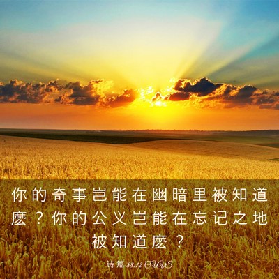 Picture 03 - 诗 篇 88:12 CUVS - 你 的 奇 事 岂 能 在 幽 暗 里 被 知 - Bible Verse Picture