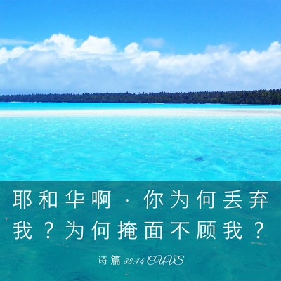 Picture 03 - 诗 篇 88:14 CUVS - 耶 和 华 啊 ， 你 为 何 丢 弃 我 ？ - Bible Verse Picture