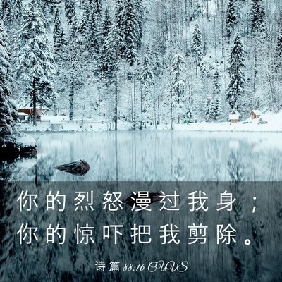Picture 03 - 诗 篇 88:16 CUVS - 你 的 烈 怒 漫 过 我 身 ； 你 的 惊 - Bible Verse Picture