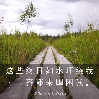 Picture 03 - 诗 篇 88:17 CUVS - 这 些 终 日 如 水 环 绕 我 ， 一 齐 - Bible Verse Picture