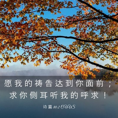 Picture 03 - 诗 篇 88:2 CUVS - 愿 我 的 祷 告 达 到 你 面 前 ； 求 - Bible Verse Picture