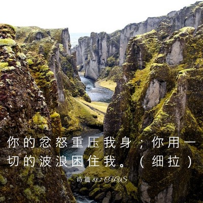 Picture 03 - 诗 篇 88:7 CUVS - 你 的 忿 怒 重 压 我 身 ； 你 用 一 - Bible Verse Picture