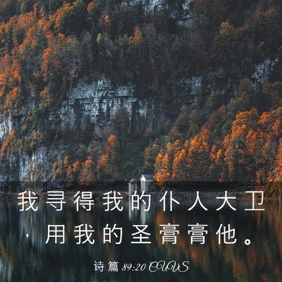 Picture 03 - 诗 篇 89:20 CUVS - 我 寻 得 我 的 仆 人 大 卫 ， 用 我 - Bible Verse Picture