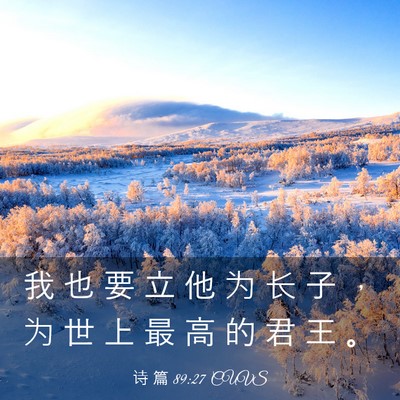 Picture 03 - 诗 篇 89:27 CUVS - 我 也 要 立 他 为 长 子 ， 为 世 上 - Bible Verse Picture