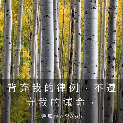 Picture 03 - 诗 篇 89:31 CUVS - 背 弃 我 的 律 例 ， 不 遵 守 我 的 - Bible Verse Picture