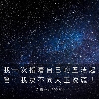 Picture 03 - 诗 篇 89:35 CUVS - 我 一 次 指 着 自 己 的 圣 洁 起 誓 - Bible Verse Picture