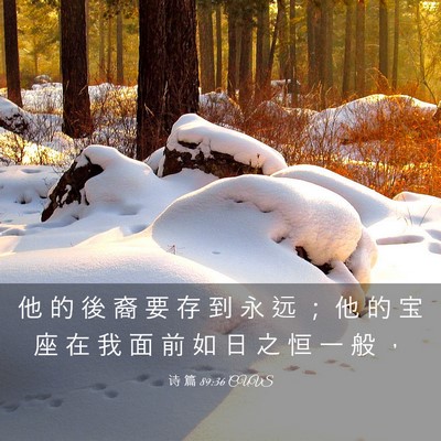 Picture 03 - 诗 篇 89:36 CUVS - 他 的 後 裔 要 存 到 永 远 ； 他 的 - Bible Verse Picture