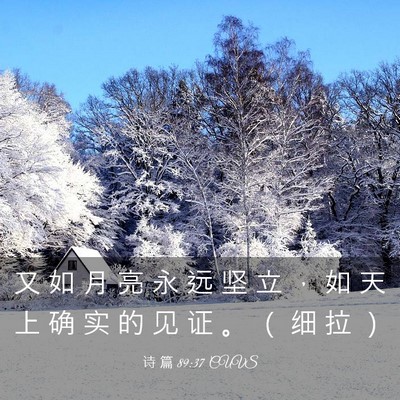 Picture 03 - 诗 篇 89:37 CUVS - 又 如 月 亮 永 远 坚 立 ， 如 天 上 - Bible Verse Picture