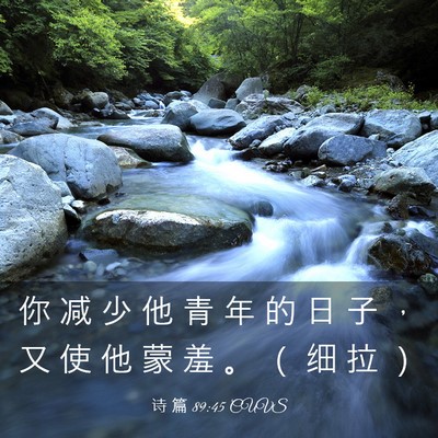 Picture 03 - 诗 篇 89:45 CUVS - 你 减 少 他 青 年 的 日 子 ， 又 使 - Bible Verse Picture