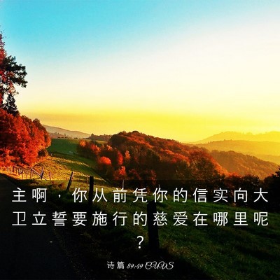 Picture 03 - 诗 篇 89:49 CUVS - 主 啊 ， 你 从 前 凭 你 的 信 实 向 - Bible Verse Picture