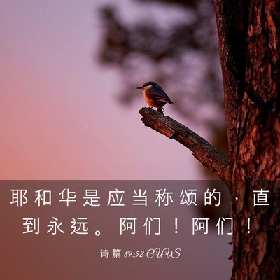 Picture 03 - 诗 篇 89:52 CUVS - 耶 和 华 是 应 当 称 颂 的 ， 直 到 - Bible Verse Picture