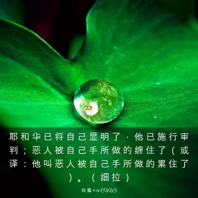 Picture 03 - 诗 篇 9:16 CUVS - 耶 和 华 已 将 自 己 显 明 了 ， 他 - Bible Verse Picture