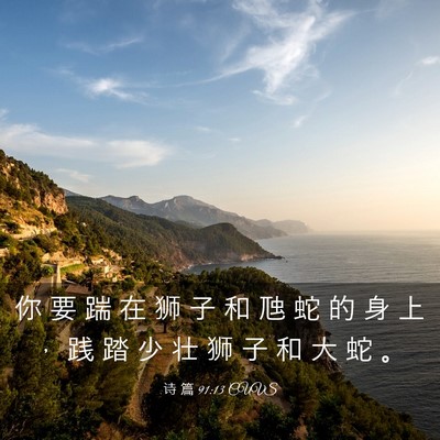 Picture 03 - 诗 篇 91:13 CUVS - 你 要 踹 在 狮 子 和 虺 蛇 的 身 上 - Bible Verse Picture